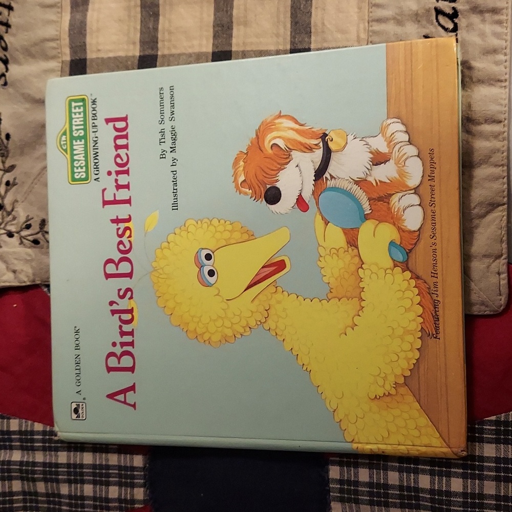 ❤️ Sesame Street A Bird's Nest Friend